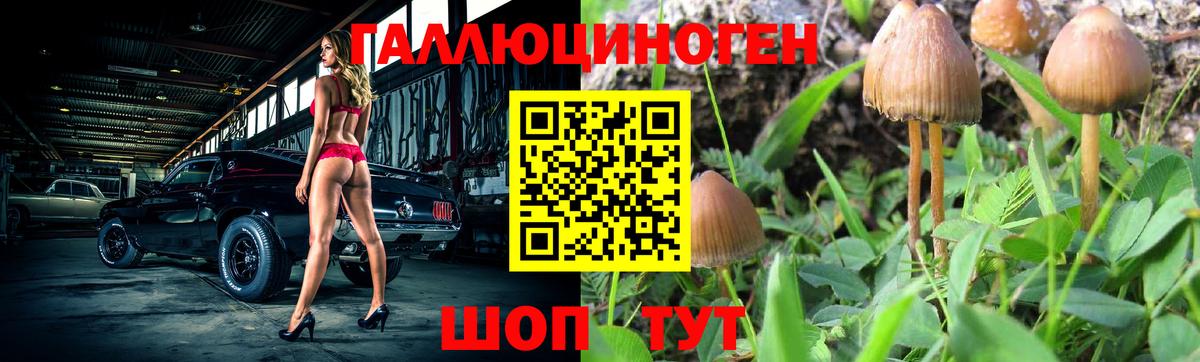 Псилоцибиновые грибы мухоморы Лесной